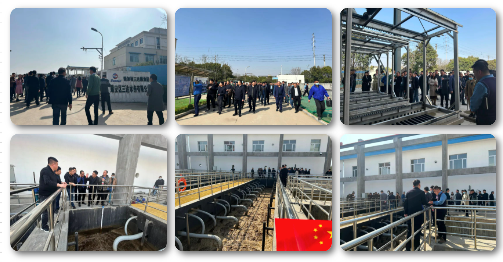 mansion88明升|主页