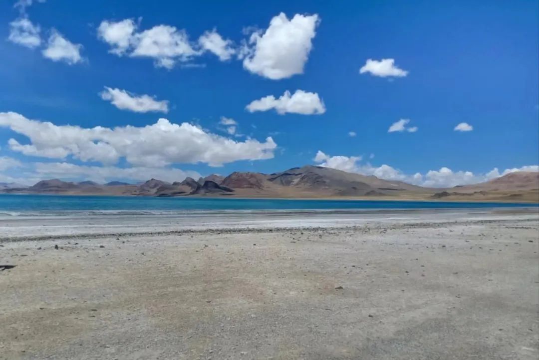 mansion88明升|主页